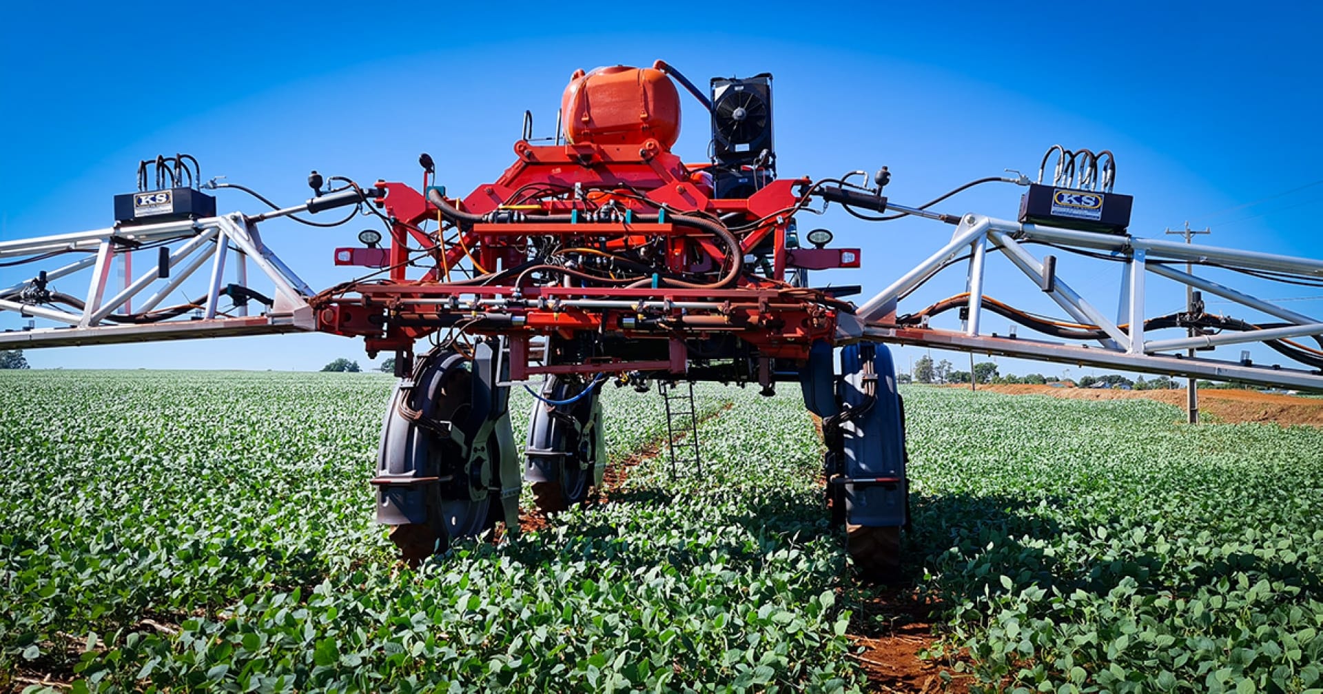 Herbicidas no RS: uma crise que expõe a urgência da rastreabilidade no agro brasileiro