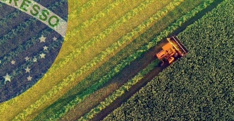 Crescimento recorde no agro  Brasileiro em 2024/2025: Transparência virou a nova fronteira